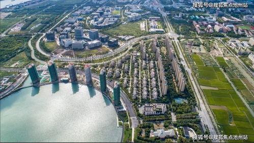 上海闵行区 售楼处电话 地址 开盘 最新价格 最新详情